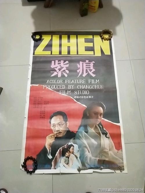 维思大学国际商务文凭证书